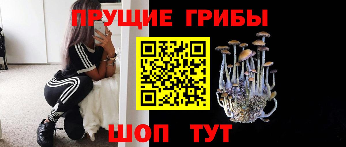 Псилоцибиновые грибы Cubensis Зеленодольск