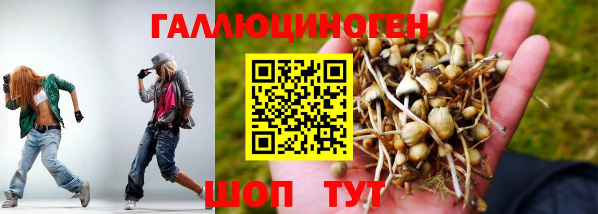 что такое наркотик  Вход с VPN  Зеленодольск  Галлюциногенные грибы Magic Shrooms 
